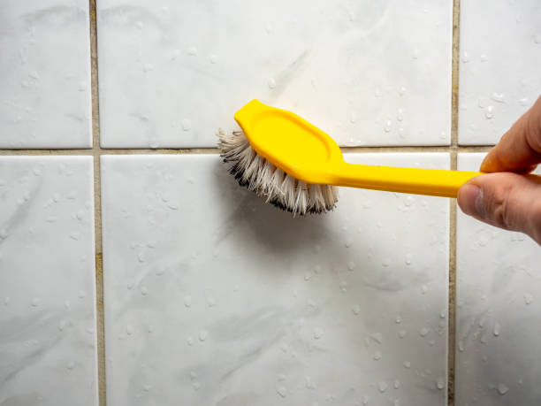 Best Mold Testing  in Mandeville, LA