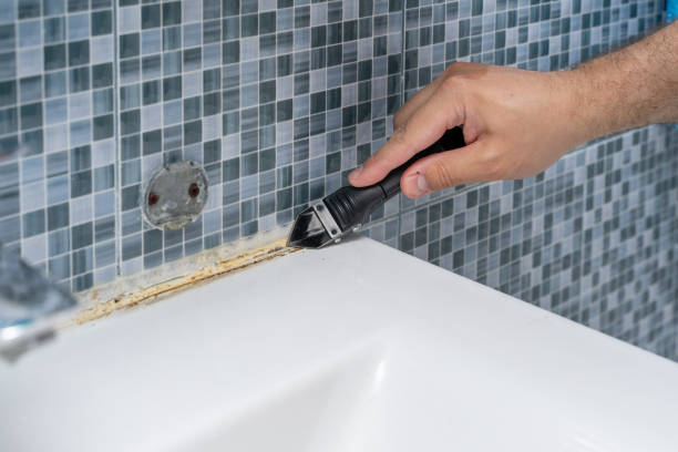 Best Mold Remediation  in Mandeville, LA