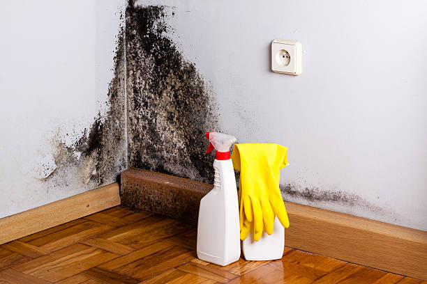 Water Damage Restoration in Mandeville, LA